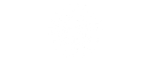 Copyright 2024 Digital Bridges International. All rights reserved. Founder Connie Capiotis. Hazelwood Local black and white logo.